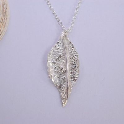 NP17. Reticulated silver leaf