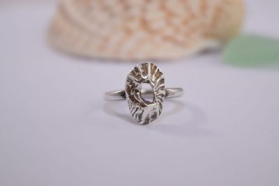 R08. Silver Limpet shell Ring