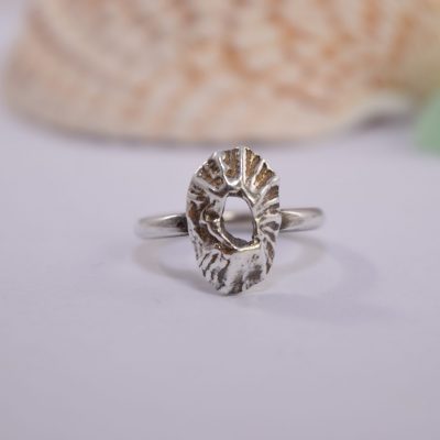 R08. Silver Limpet shell Ring