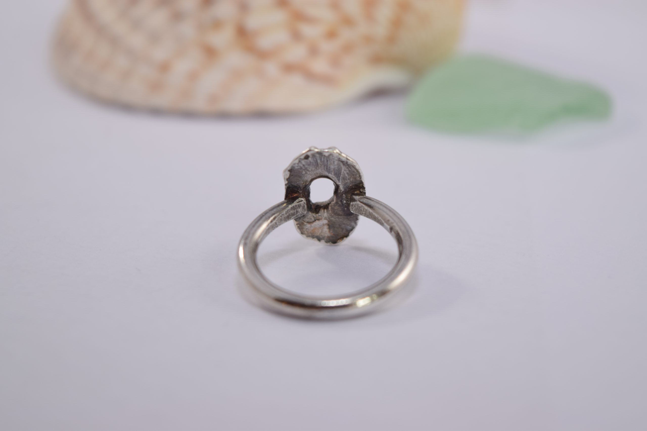 R08. Silver Limpet shell Ring - Image 3