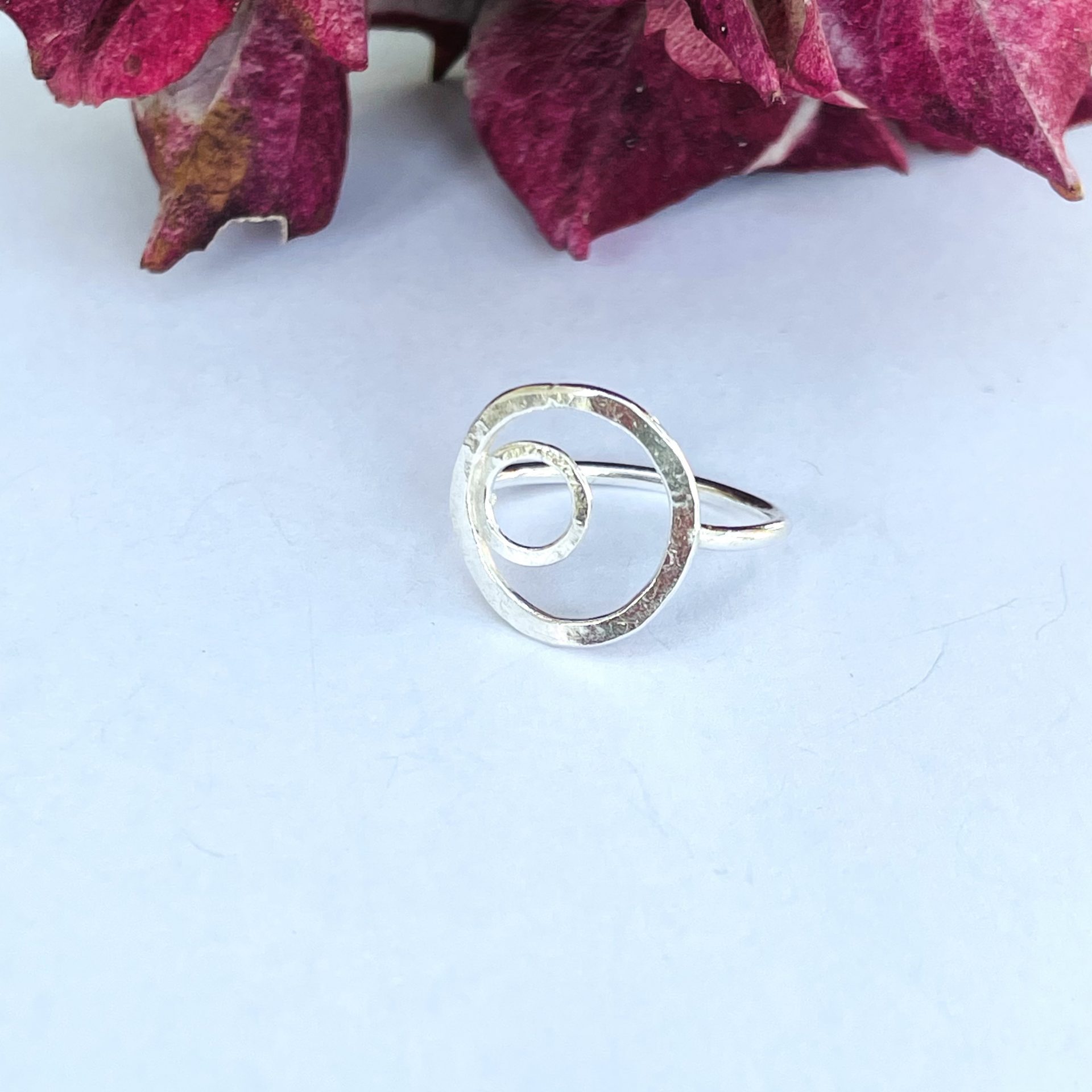 R04. A circle inside a circle ring